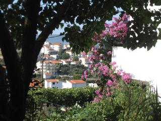 Apartments with parking space Seget Vranjica, Trogir - 11273 - Trogir - 6