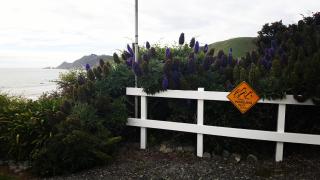 Kaka Point Spa Accommodation - Catlins - 2