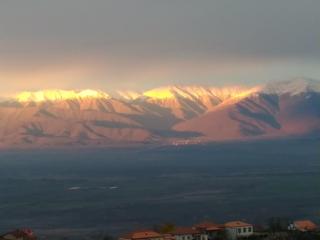 Guest House Aisi - Sighnaghi - 6