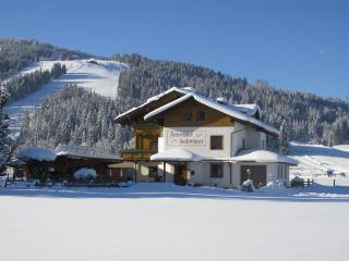 Ferienhaus Fallenegger - 1