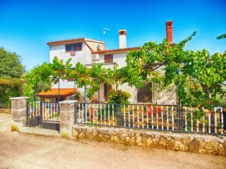 Apartments Bruno 157 - 0