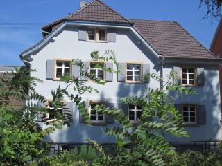 Maison Bleue Dreiländereck, Design Apartment mit Terrasse in historischem Landhaus nahe Basel - 8