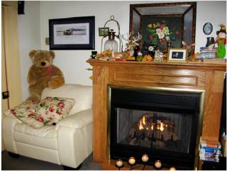 A Meadow House - Lakeville - 4