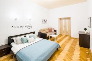 Bright and cozy apart with balcony - Lviv - 0