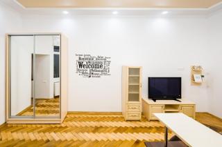 Bright and cozy apart with balcony - Lviv - 2