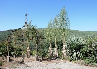 Quinta de Albergaria - Facha - 6
