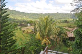 Villa Shantiasa Bali - Sidemen - 2