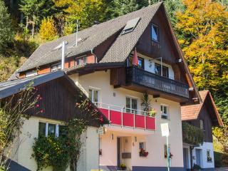 Ferienwohnung am Hauskopf - Oppenau - 0