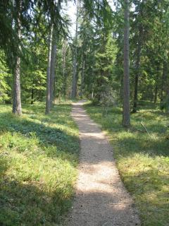 Mullsjö Folkhögskola - 6