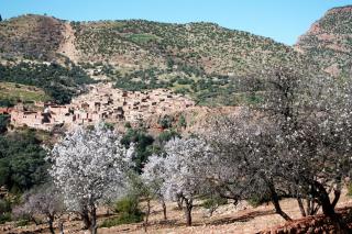 Riad Cascades d'Ouzoud - Ouzoud - 3
