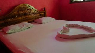 Blue Sky Guest House Dambulla - Dambulla - 0