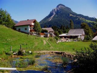 Ferienwohnung Hierzegger - Tauplitz - 6