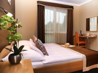 ALFA Hotel & Wellness Miskolctapolca - Miskolctapolca - 4