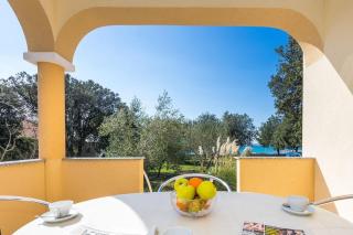 Apartment Vrsi - Mulo 5951b - Vrsi - 1