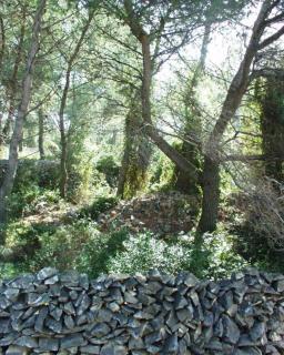 Seaside holiday house Slatine, Ciovo - 748 - 3