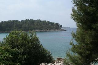 Apartments by the sea Prizba, Korcula - 4484 - Prizba - 8