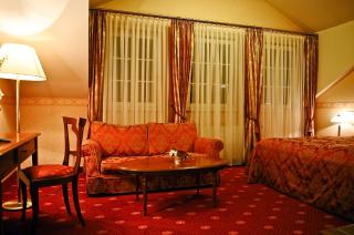 Parkhotel Idar-Oberstein - Idar-Oberstein - 4