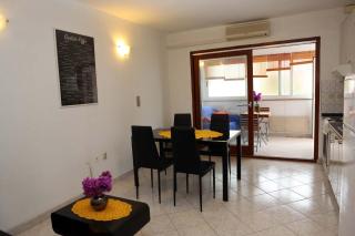 Apartment Zeljko 63 - 1