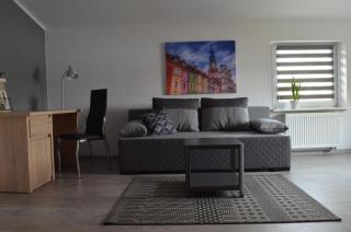 Studio nad Jeziorem - Poznań - 8