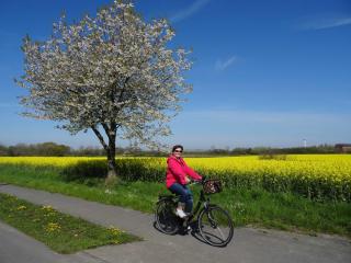 Afbeelding van de locatie