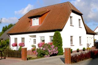 Usedomer Strandgut in Zinnowitz - Zinnowitz - 1