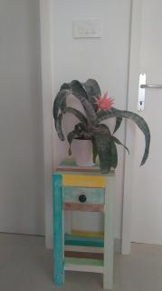 Apartment Rose 2 - Dubrovnik - 2