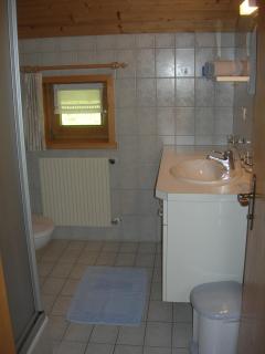 Appartements Karin Mitten im Grünen - Schoppernau - 1