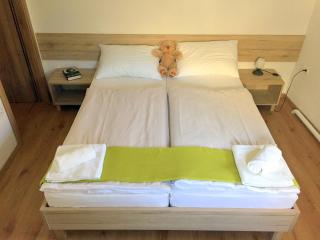 Apartmaji in sobe Tina - Kranjska Gora - 8