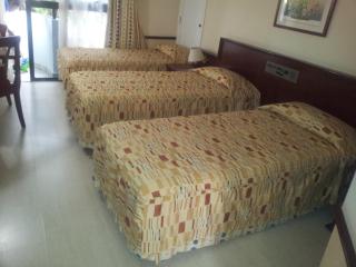 Hotel Dan Inn Campinas Cambuí - Um Hotel Clássico em Campinas By Nacional Inn - Campinas - 3