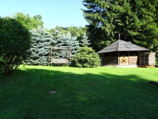 Apartament w Domku Wojków - Kowary koło Karpacza - Kowary - 9