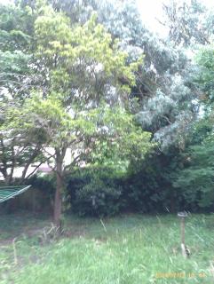 Hill Crescent - London - 9