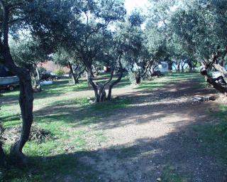 Apartments and rooms by the sea Zuljana, Peljesac - 256 - 5
