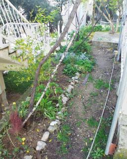 Apartments and rooms by the sea Zuljana, Peljesac - 256 - 2