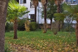 Apartment Dragica 2 - 3