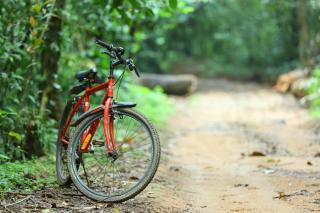 Vagamon Heights - Vagamon - 9