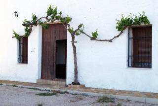 Casa Rural Casa Máxima - Yecla - 1