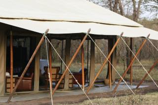 Olengoti Eco Safari Camp - Talek - 2