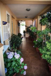Apartments Stari Ribar - Budva - 6