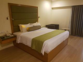 Peerless Hotel Hyderabad - Hyderabad - 3