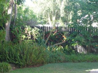 Cedar Lodge Guest House - Robertson - 1