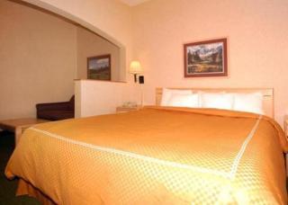 Comfort Suites Summit County - 9