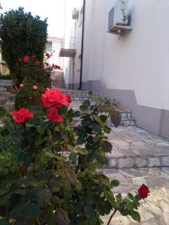 Royal Apartments - Neum - 3