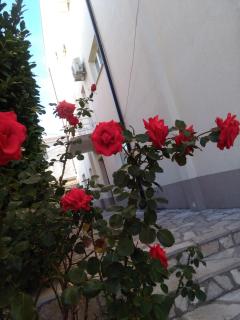 Royal Apartments - Neum - 4
