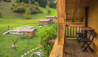 Chalet Val Concei - Lenzumo di Concei - 1