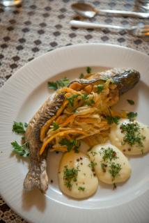 Willa Pod Kasztanami - 6