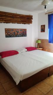 Pacific Jungle Condominium - Playa Hermosa - 1