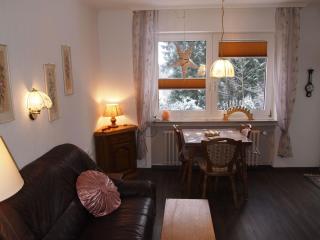 Ferienwohnung Schüler-Wolke 2 - Sankt Andreasberg - 1