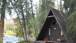 The Perch Resort - McKinley Park - 7