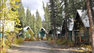 The Perch Resort - McKinley Park - 5