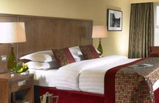The Rose Hotel - Tralee - 1